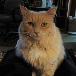 Meet your Posher, Roberta